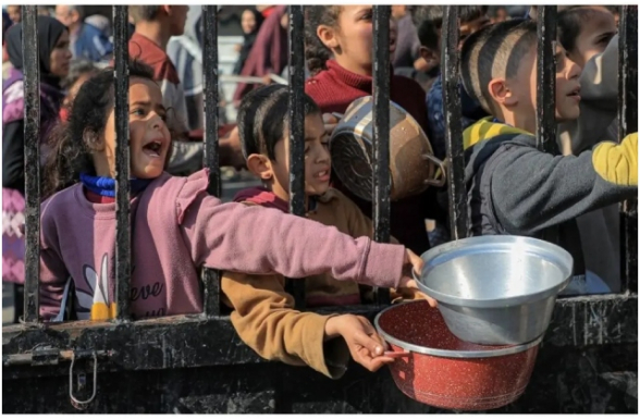 Գազայում սովից մահացածների թիվը հասել է 263-ի